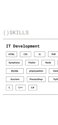 Skills section of Mathis Haumont's mobile site